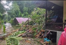 BNPB: 32 Kejadian Bencana Terjadi di Indonesia dalam Dua Hari, 13 Berdampak Signifikan Angin Puting Beliung