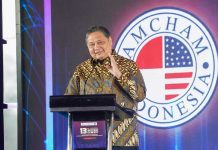 Pemerintah Perkuat Iklim Investasi dan Kerja Sama Ekonomi RI–AS untuk Dorong Pertumbuhan Nasional