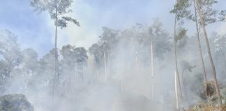 Kebakaran hutan dan lahan