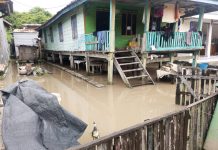 BNPB Catat Sejumlah Bencana Hidrometeorologi, Banjir Dominasi Kejadian di Awal Januari 2026 Banjir
