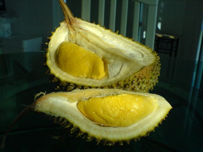 Durian musang king