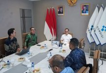 Indonesia Bidik Peran Strategis di Industri Semikonduktor Global