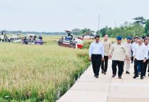 Panen Raya Karawang, Presiden Prabowo Tekankan Teknologi dan Hilirisasi Pertanian Panen Raya