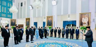 Dewan Energi Nasional