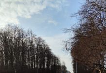 Musim Dingin di Copenhagen, Denmark