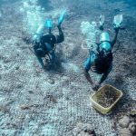 Transformasi Pariwisata Berkelanjutan, Strategi Indonesia Hadapi Persaingan Global