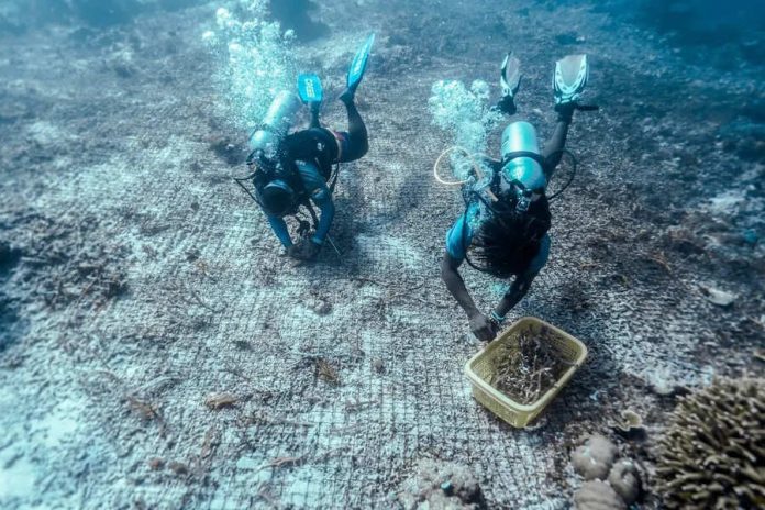 699eb5316060a720688854 (1) (1)