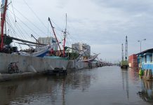 BPBD DKI Jakarta: 12 Wilayah Pesisir Jakarta Berpotensi Dilanda Banjir Rob hingga 1 Maret 2026 Banjir