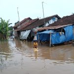 BNPB Catat Deretan Bencana Hidrometeorologi Basah di Berbagai Daerah hingga 2 Februari 2026 Banjir