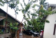 BNPB Catat Karhutla, Banjir, dan Angin Kencang di Sejumlah Wilayah dalam 24 Jam Terakhir Banjir