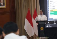 Target Cetak Sawah 250 Ribu Hektare, Produksi Pangan Terus Digenjot