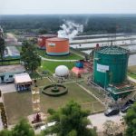 ROA PalmCo Naik ke 7,9 Persen, Pengelolaan Aset BUMN Perkebunan Terus Menguat