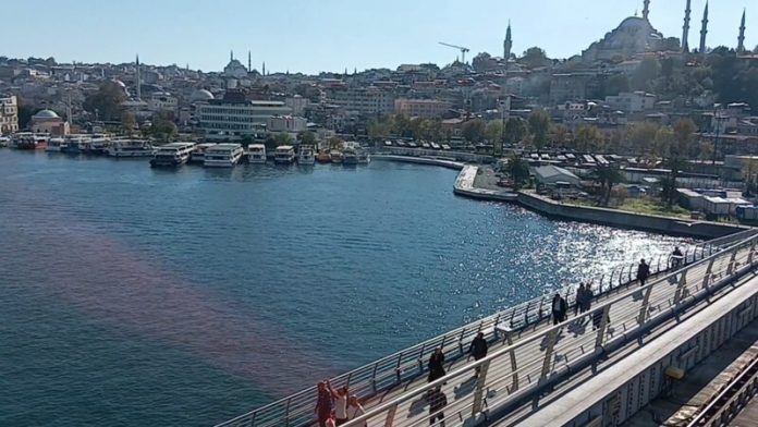 6140780722285907634 (2)