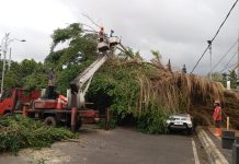 Cuaca Ekstrem Picu Longsor, Banjir Luapan, dan Pohon Tumbang di Batang Hidrometeorologi