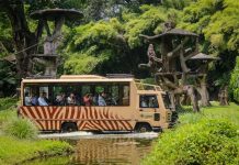 Menpar Tinjau Taman Safari Bali, Pastikan Layanan Optimal Pascanyepi dan Lebaran 2026