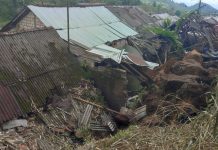Cuaca Ekstrem Picu Rentetan Bencana di Indonesia, BNPB: Banjir hingga Longsor Dominasi Pohon tumbang