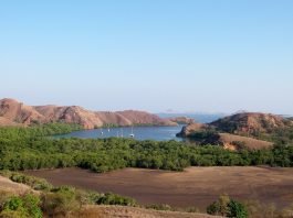 Pulau Komodo