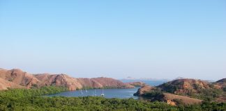 Pulau Komodo