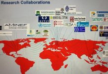 BRIN Dorong Riset Lintas Negara melalui Kerja Sama dengan University of Queensland