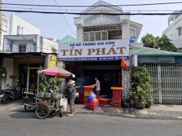 Vietnam