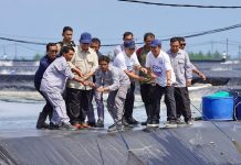 Prabowo Panen Raya Udang di Kebumen, Produksi Tembus Standar Dunia dan Siap Genjot Ekspor