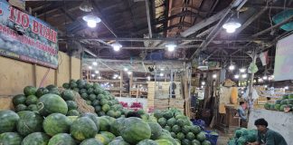 Buah Tropis