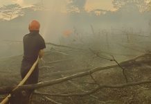 Banjir di Poso, Cuaca Ekstrem Rusak Puluhan Rumah di Deli Serdang, Karhutla Hanguskan Lahan di Kalsel Karhutla