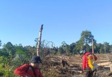 BNPB Catat Rentetan Bencana: Puting Beliung di Medan, Karhutla di Muara Enim Karhutla