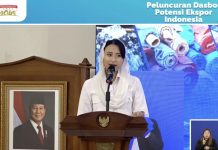 Wamendag: Potensi Ekspor Indonesia Sangat Besar, dari SDA hingga Produk Digital