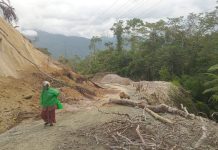 Banjir Aceh Barat dan Gempa Sulawesi Tengah Jadi Fokus Penanganan Darurat Gempa