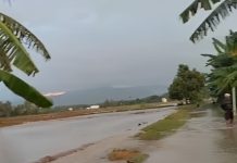 Luapan Sungai Toribulu Genangi Delapan Hektar Sawah di Sulawesi Tengah Banjir