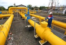 PGN