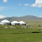 Dari Ger ke Kota: Dinamika Kehidupan Sehari-hari di Mongolia