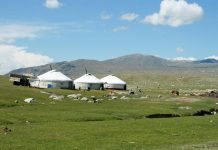 Dari Ger ke Kota: Dinamika Kehidupan Sehari-hari di Mongolia
