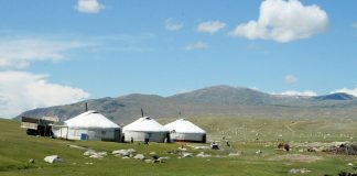 Dari Ger ke Kota: Dinamika Kehidupan Sehari-hari di Mongolia