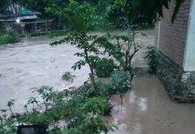 Banjir dan Kekeringan Masih Mendominasi, Gempa Sulawesi Tengah Telan 3 Korban Jiwa Banjir