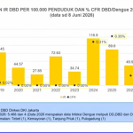 Menuju Nol Kematian Dengue 2030, Jakarta Andalkan Inovasi dan Partisipasi Warga