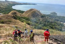 Rentetan Bencana dalam 24 Jam: Di Jawa, Kalimantan hingga Labuan Bajo Karhutla