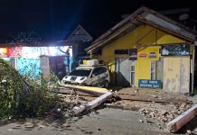 BNPB Catat Rentetan Bencana di Sejumlah Daerah, Longsor, Karhutla hingga Gempa Telan Korban Jiwa Gempa