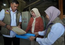 Stok Melimpah, Bulog Kini Prioritaskan Kualitas Beras Nasional