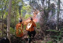 Kekeringan dan Karhutla Masih Mendominasi, Warga Diminta Waspada Musim Kemarau Karhutla