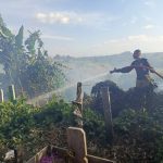 BNPB Catat 42 Bencana Sehari, Karhutla dan Kekeringan Mendominasi Sejumlah Wilayah Indonesia Kebakaran hutan dan lahan