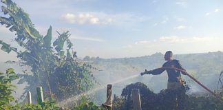 Kebakaran hutan dan lahan
