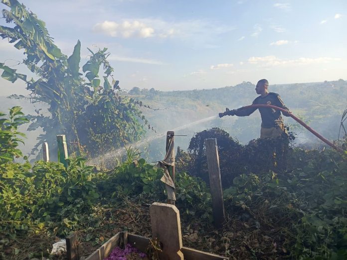 Kebakaran hutan dan lahan