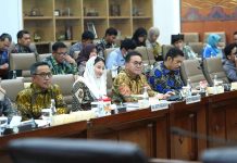 IP-CEPA Buka Peluang Besar UMKM Tembus Pasar Amerika Latin
