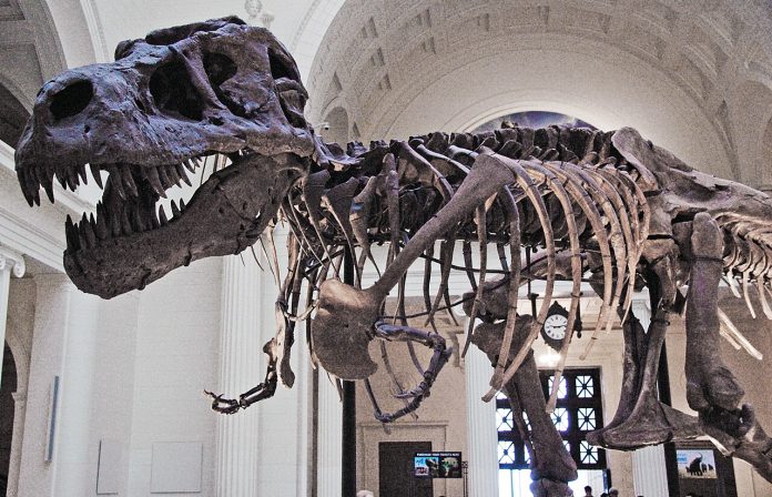 Tyrannosaurus rex Tyrannosaurus rex Hell Creek Formation