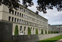 Menang Parsial di WTO, RI Lanjutkan Perjuangan Akses Pasar ke Uni Eropa
