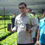Empat Juta Bibit Kopi Gayo 3 Disiapkan untuk Petani Terdampak Bencana