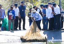 Produksi Tembus 254 Ton, BUBK Kebumen Dorong Ekspor Udang Nasional