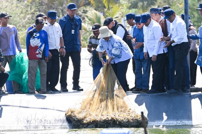 dapat-apresiasi-komisi-iv-panen-udang-siklus-ke-8-bubk-kebumen-diproyeksikan-capai-2545-ton-wKqX